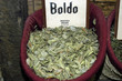 boldo-01
