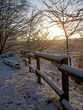 paysage sous la neige