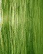 green waterfall