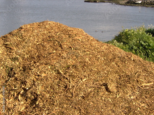 compost heap