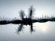 iced wire