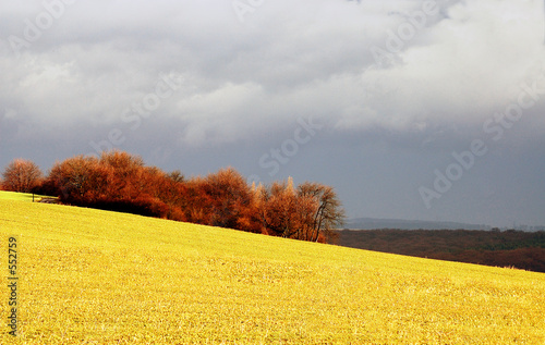 paysage d'ici