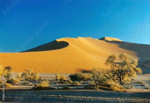 désert du namib