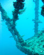 old sunken boat old sunken boat