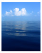 calm blue ocean calm blue ocean
