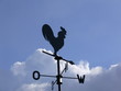 wetterhahn2