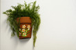 Foto: air fern on a refrigerator air fern on a refrigerator