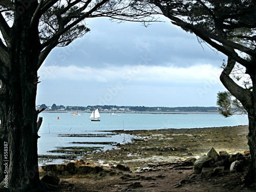Photo: parc à huitres à locmiquel parc à huitres à locmiquel