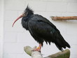 wadrapp von der seite