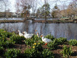Foto: 3 ducks 3 ducks