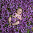 baby in the flowers