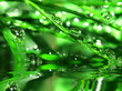 water drops