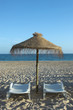 tropical beach