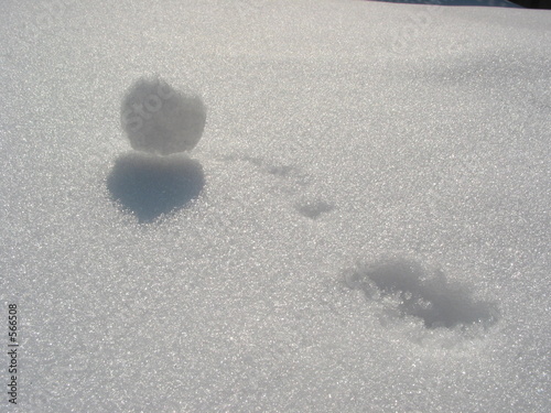 winter snowball with imprint winter snowball with imprint