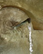 fontaine