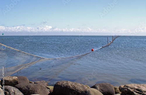 ringköbingfjord