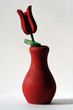 tulip