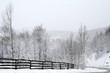 winter
