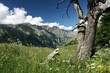 landscape in alps