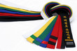 martial arts belts 2
