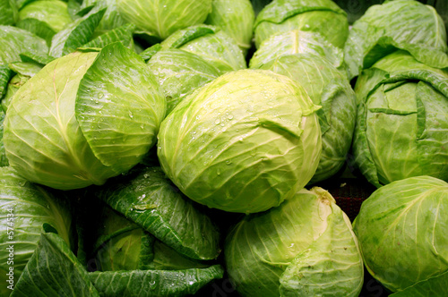vegetable - cabbage vegetable - cabbage