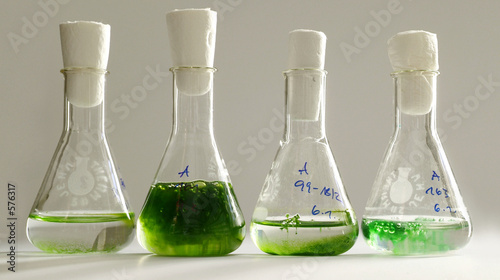 biochemie1 biochemie1