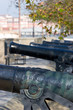 row of historical cannons in gibraltar
