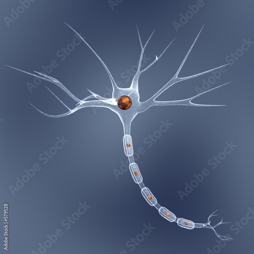 Illustration: neuron neuron