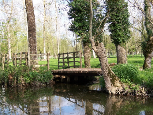 pont dans le marais