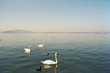 zuger see