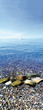 lac léman