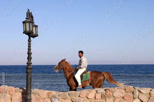 cavalier sur fond de mer à dahab