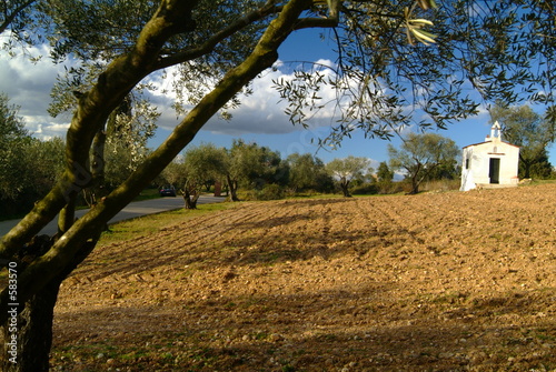 paysage de catalogne