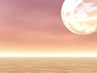 strange planet