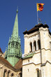 geneva cathedral