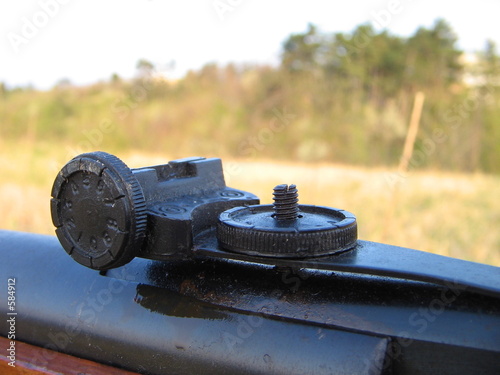Foto: gun gun