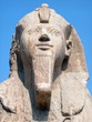 the memphis sphinx, egypt the memphis sphinx, egypt