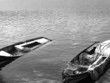 barques mortes