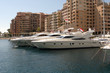 monaco harbour
