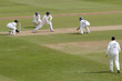 cricket match