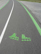 piste rollers
