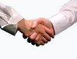 business handshake ,woman and man
