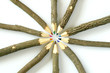 crayons en bois