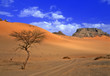 sahara désert