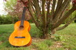 guitare classique