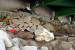 Photo: homeless home 1 homeless home 1