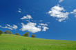 Photo: springtime landscape springtime landscape
