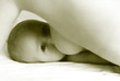 breastfeeding