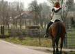 girl riding horse