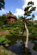 japanese tea garden